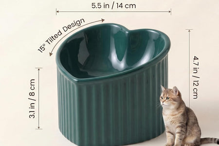 Dark Green Ceramic Raised Cat Bowls, Tilted Elevated Food or Water Bowls, Stress Free, Backflow Prevention, Dishwasher and Microwave Safe, Lead & Cadmium Free